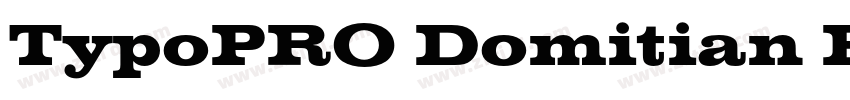 TypoPRO Domitian Bol字体转换